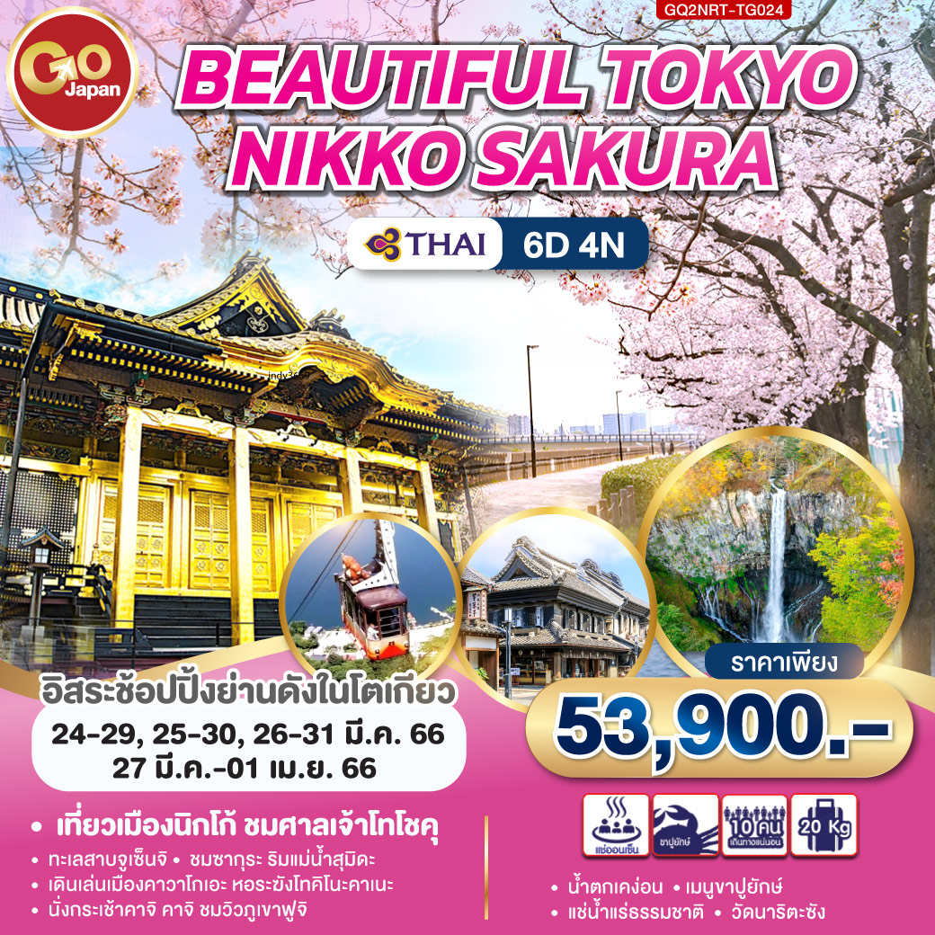 Beautiful Tokyo Nikko Sakura
